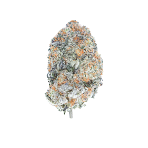 Buy Raspberry Kush Online