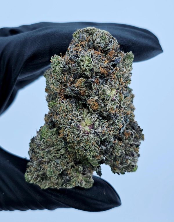 BC Flame Collective - Godzilla Kush (HP)