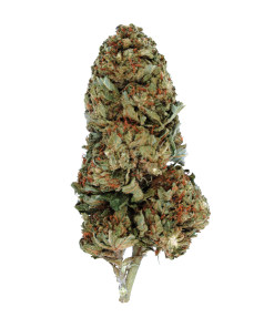 Buy Lemon Skunk Online