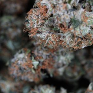 Buy Pre-98 Bubba Kush Online