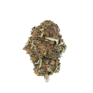 Buy Purple Kush Online