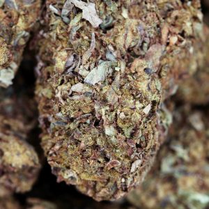 Buy Kandy Kush Online