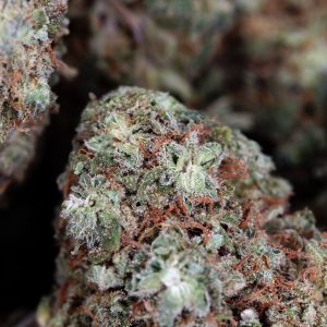 Buy Super Lemon Haze Online