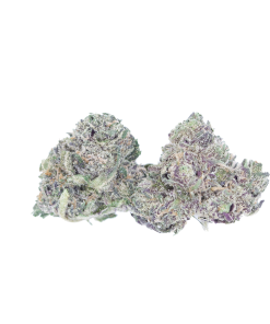 buy purple punch online