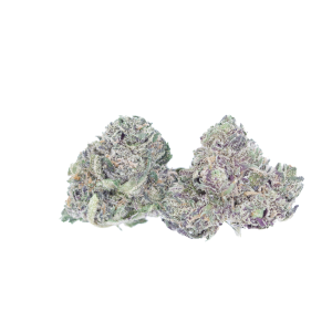 buy purple punch online