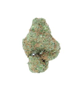 Buy Alien Glue Online