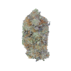 buy shark og online