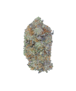 buy shark og online