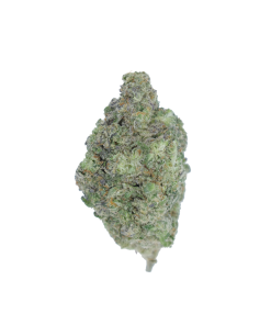 buy purple diesel online